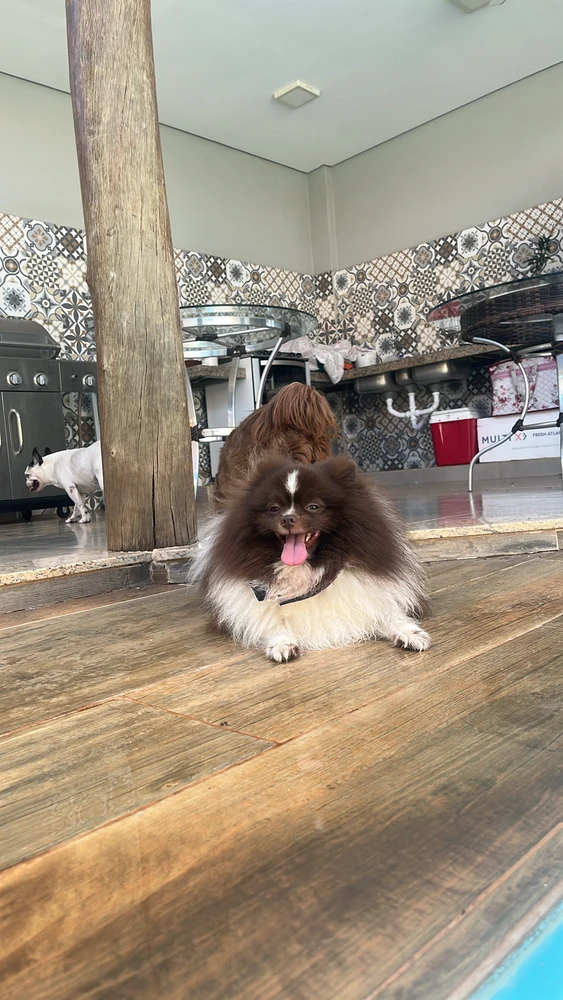 Imagem enviada por Brenda