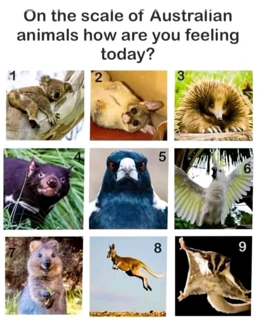 GIF uploaded by Eric