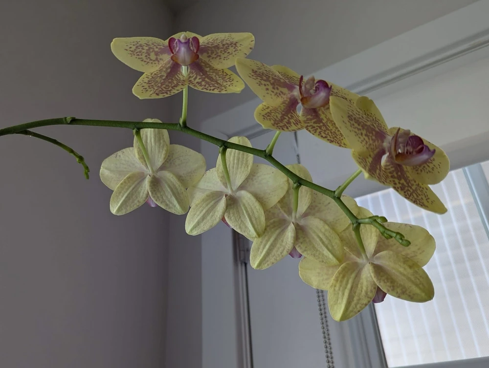 GIF uploaded by Lynne