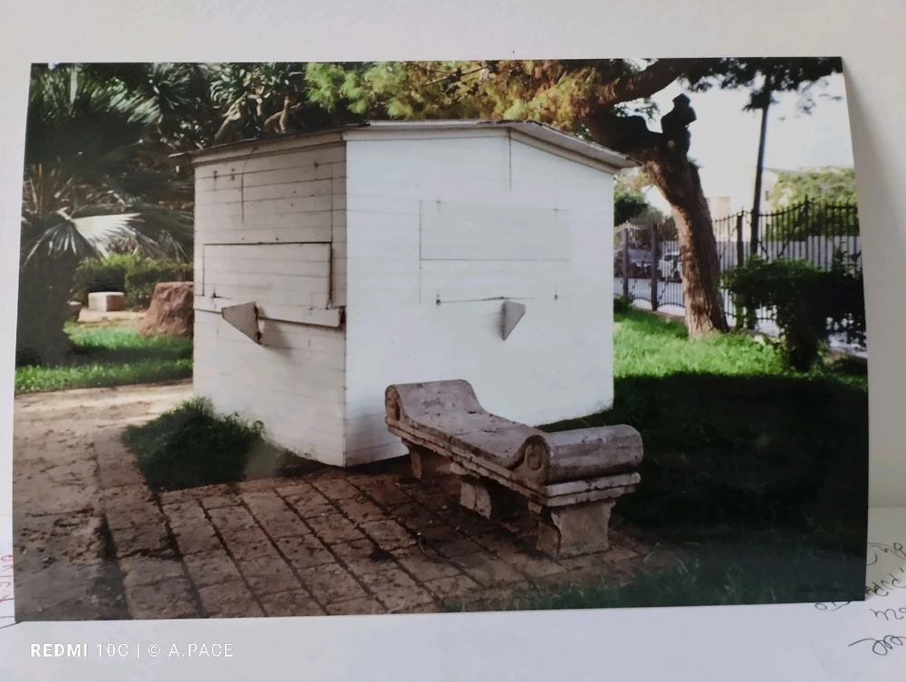 Immagine caricata da Alessandro | alpacigno