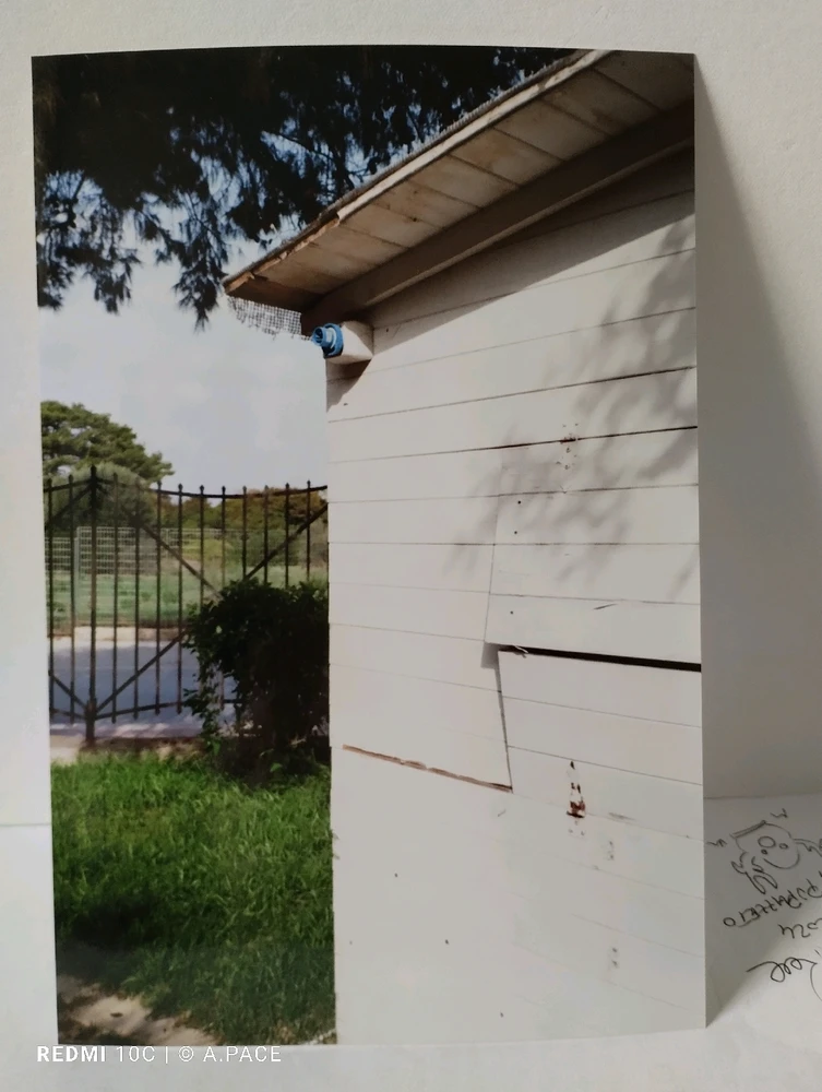 Immagine caricata da Alessandro | alpacigno