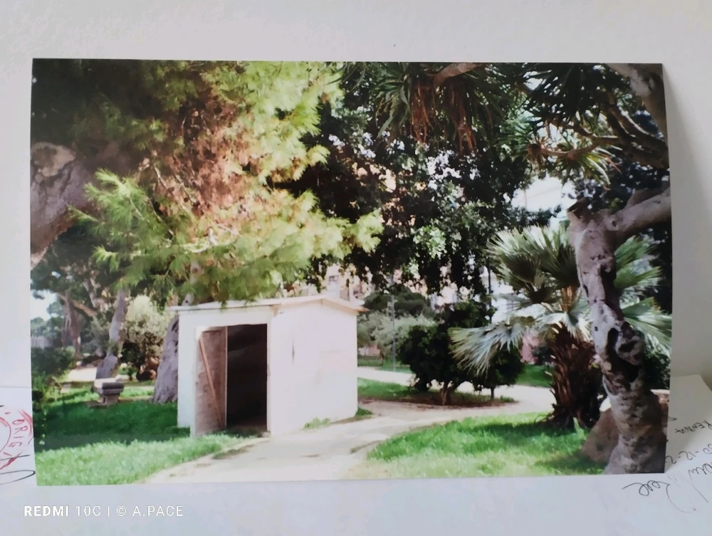 Immagine caricata da Alessandro | alpacigno