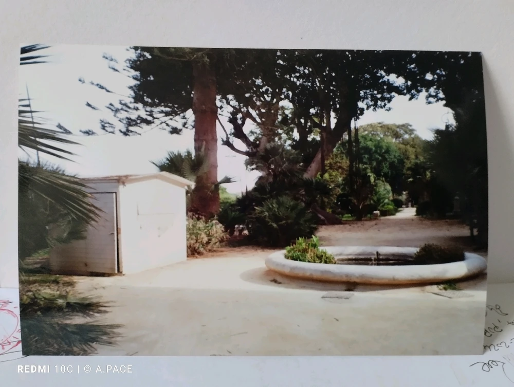 Immagine caricata da Alessandro | alpacigno