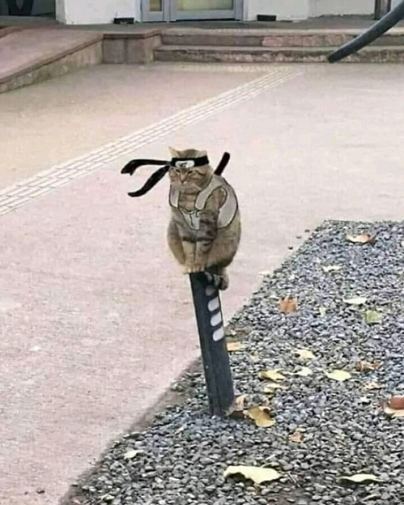 GIF dodany przez Demonarcha