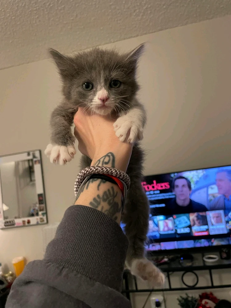 My wallet is gonna hate me