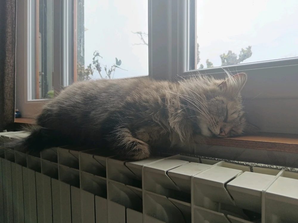 GIF ajouté par Marie