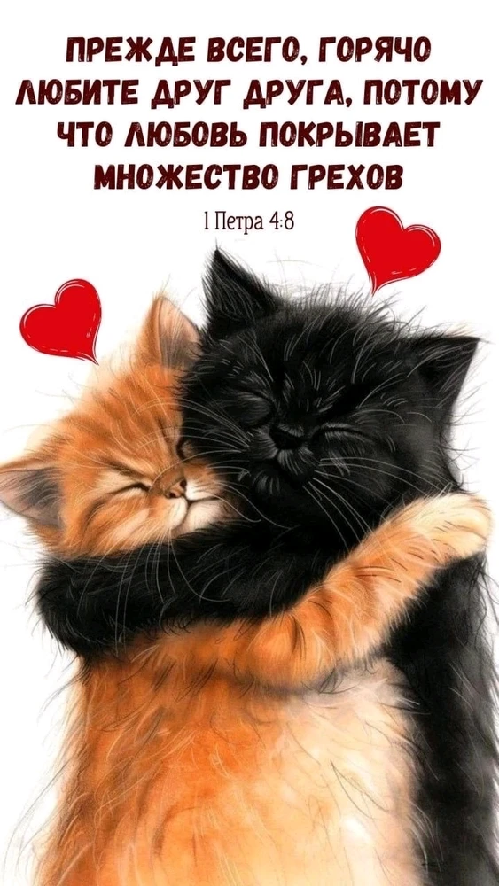 GIF загрузил Андрей