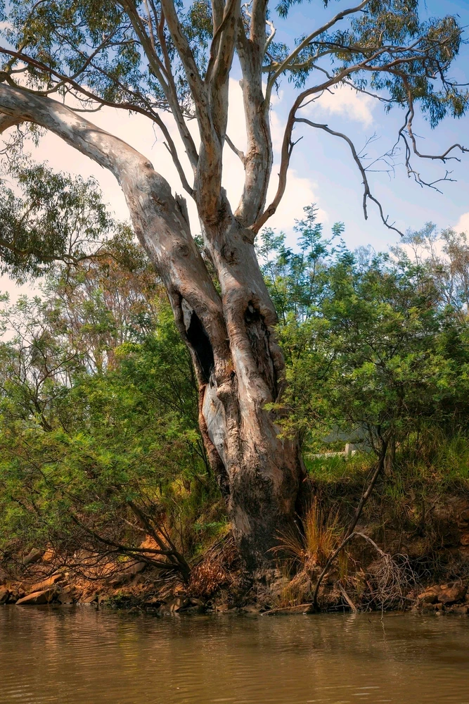 GIF uploaded by Serge Aus