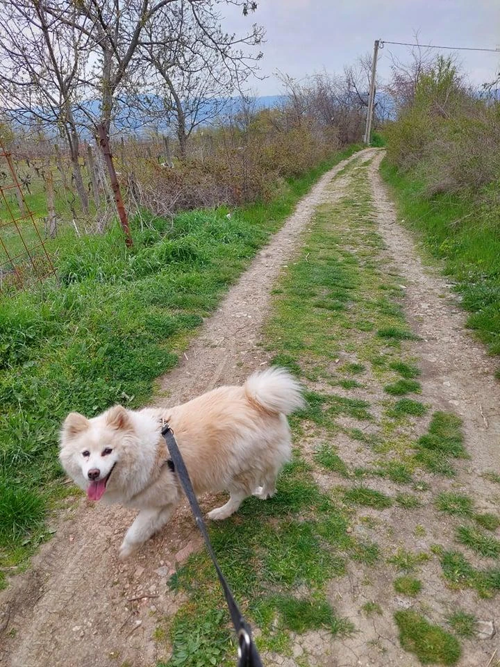 GIF uploaded by Marko