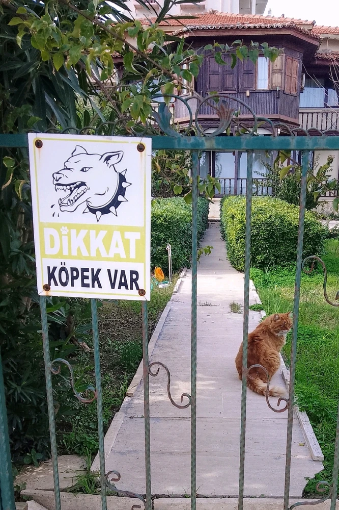 GIF uploaded by Thomas Anderson