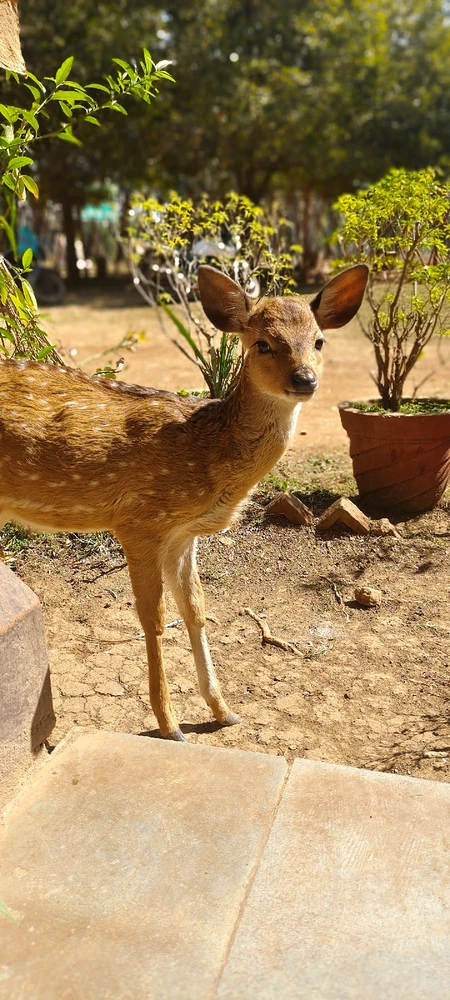 GIF uploaded by Navin Hedaoo