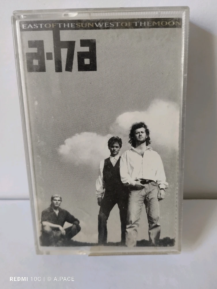 Immagine caricata da Alessandro | alpacigno