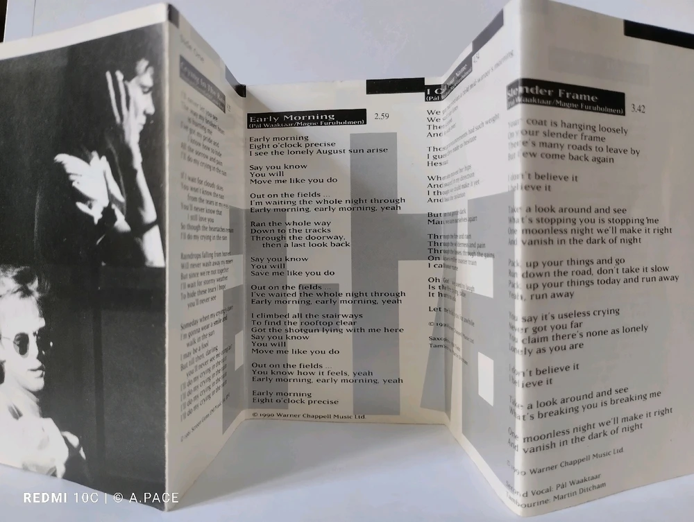 Immagine caricata da Alessandro | alpacigno