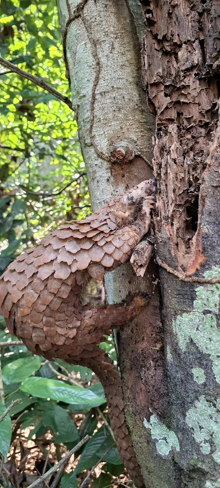 GIF uploaded by Jason