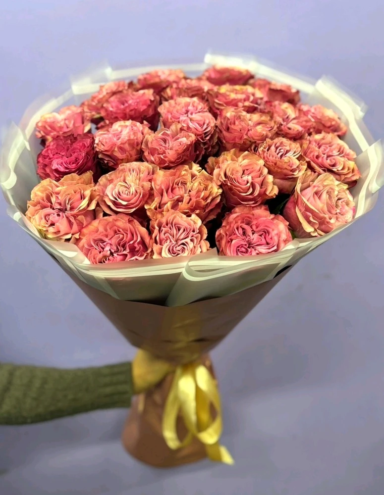 Зображення завантажив Rina Boss