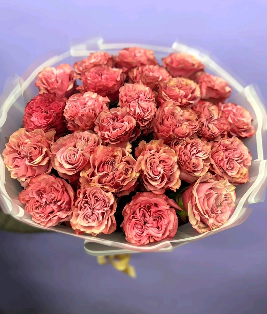 Зображення завантажив Rina Boss