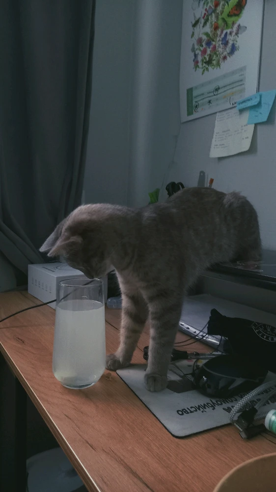 GIF загрузил Юля