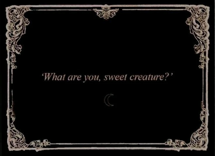 Зображення завантажив Natalia🦇