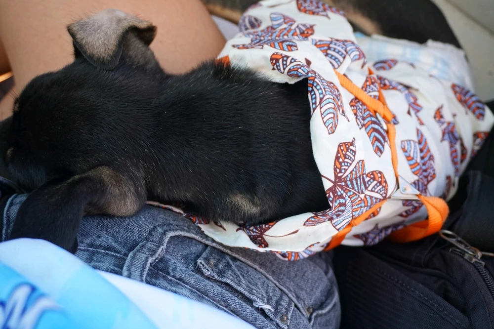 Image uploaded by Juuunneeeyy