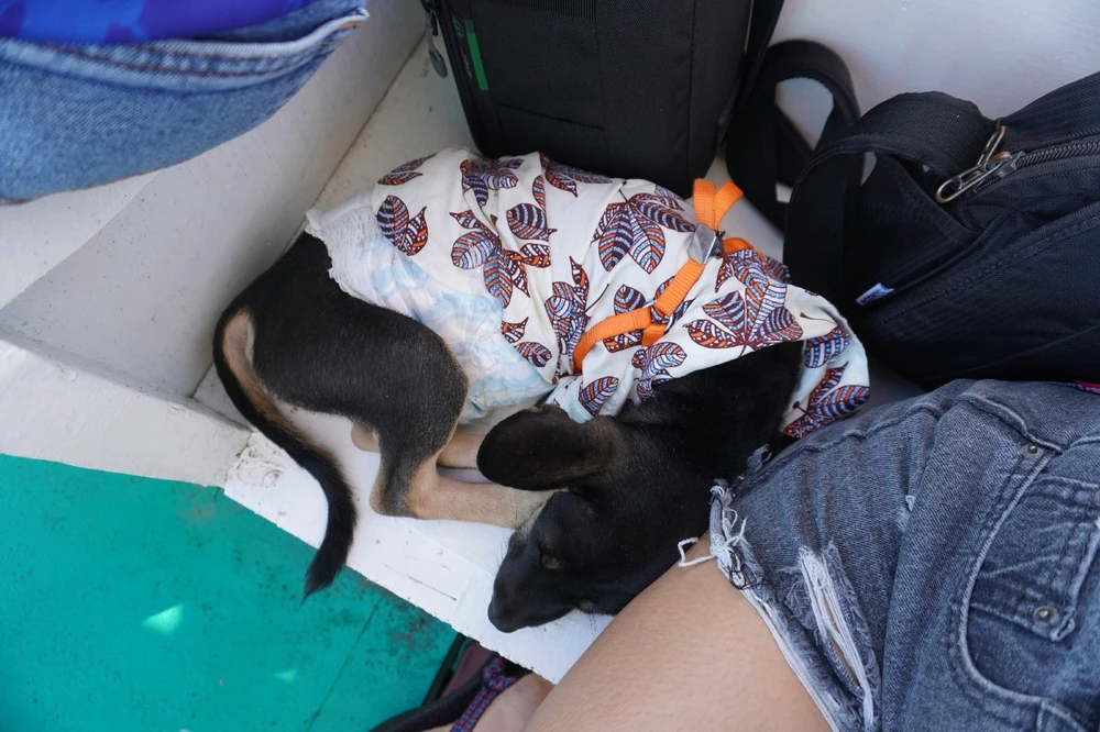 Image uploaded by Juuunneeeyy