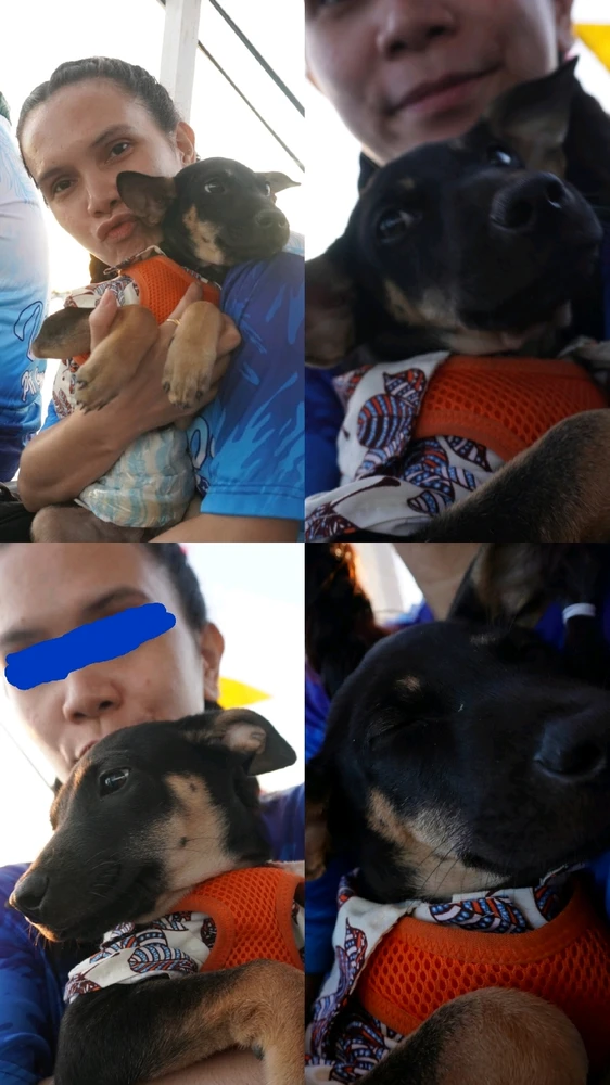 Image uploaded by Juuunneeeyy