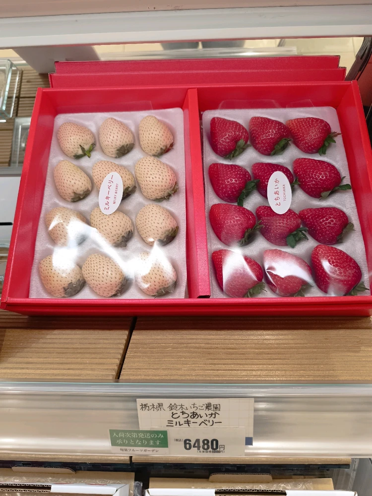 Image uploaded by Carlos カルロス