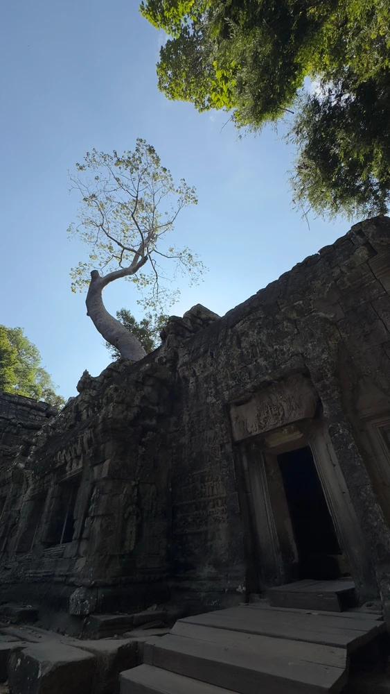 Image uploaded by Vic