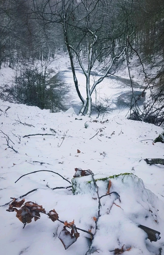 GIF caricata da Giovanni