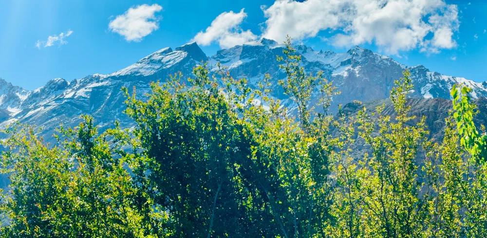 GIF uploaded by Tariq