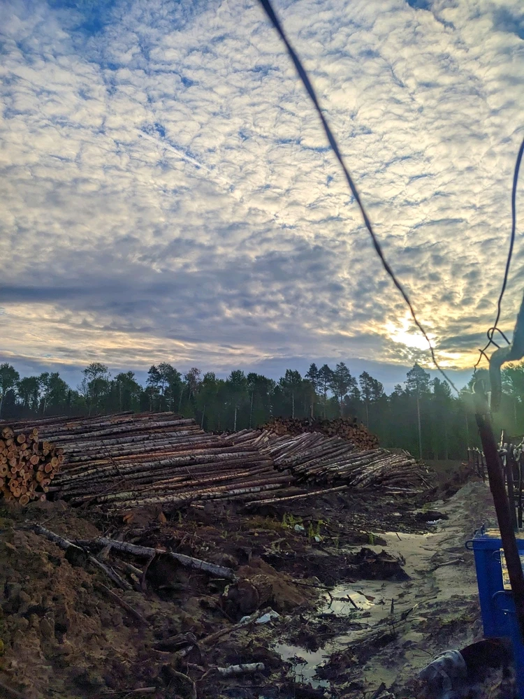 GIF загрузил Андрей