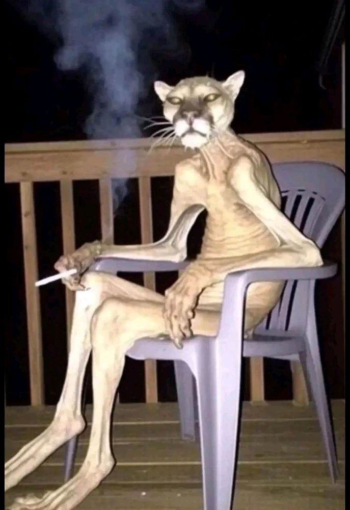 GIF uploaded by Temoc