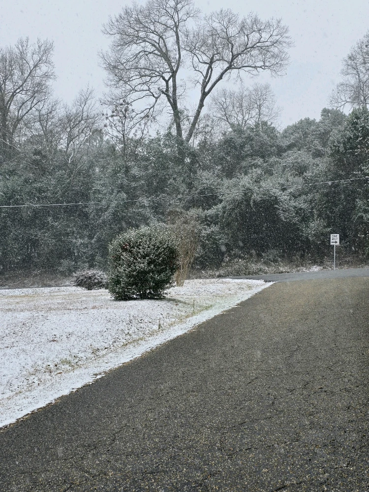 Image uploaded by All about shenanigans