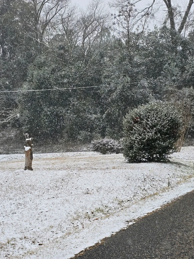 Image uploaded by All about shenanigans