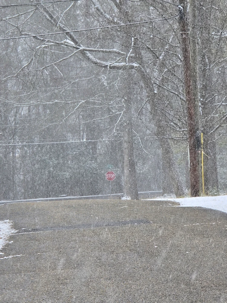 Image uploaded by All about shenanigans