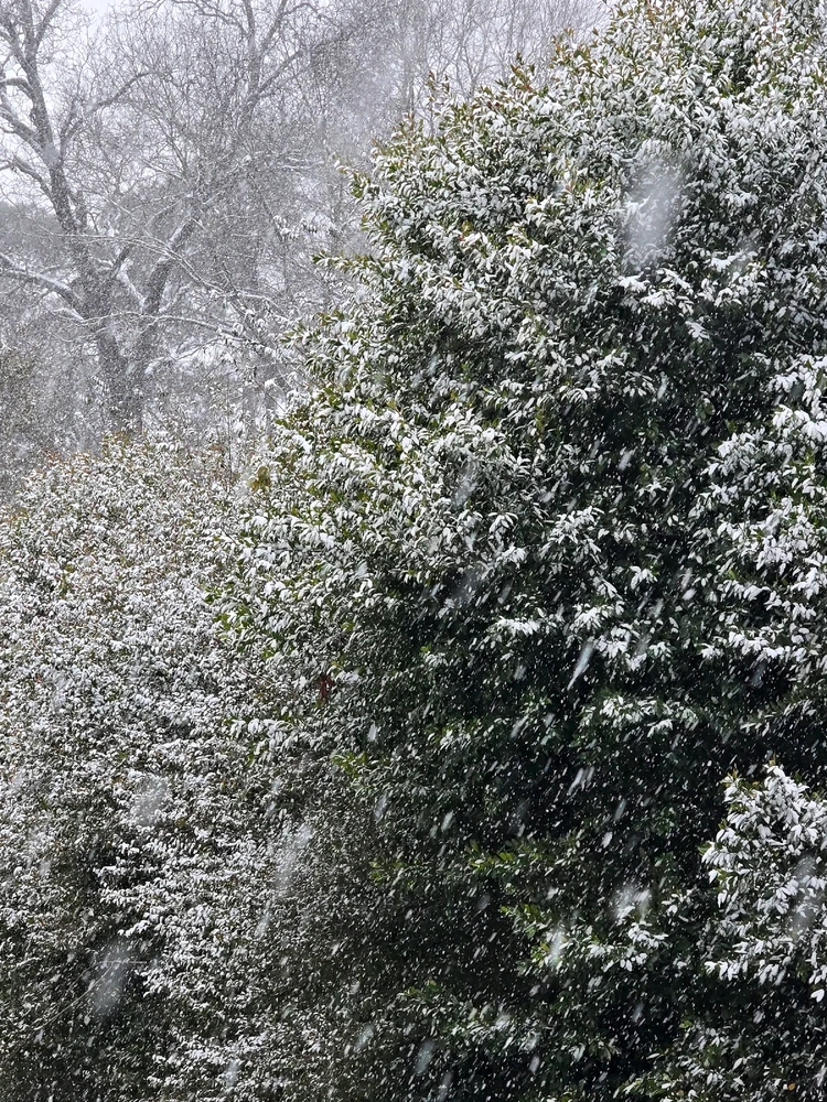 Image uploaded by All about shenanigans