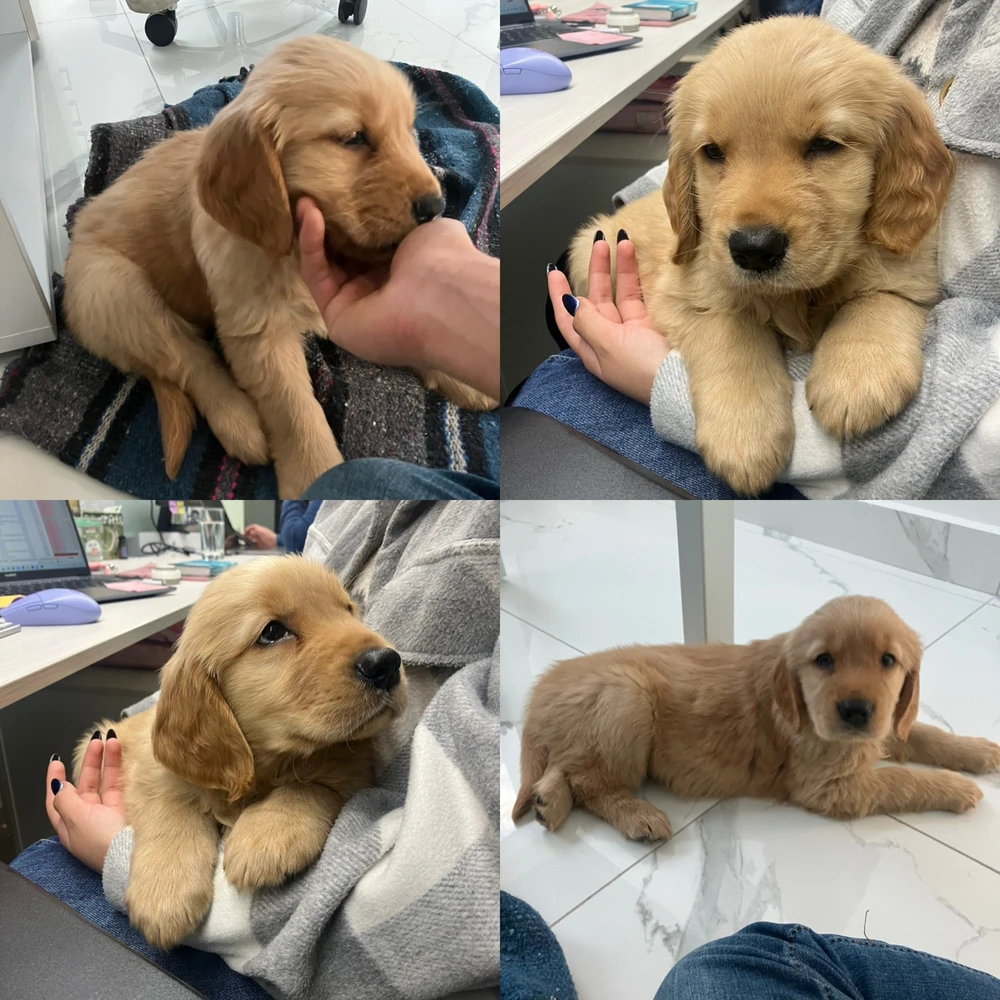 Se robó mi corazón 🤍✨