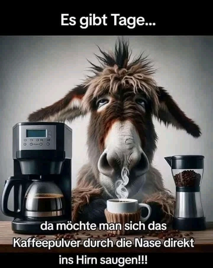 GIF hochgeladen von Kai