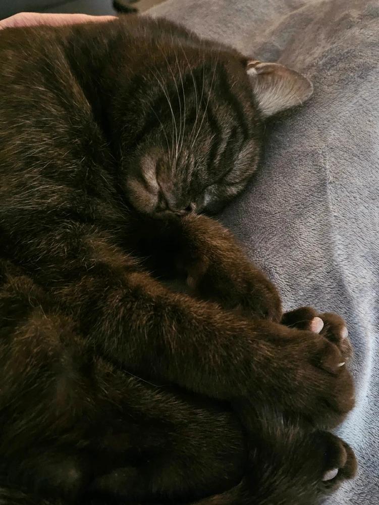 GIF hochgeladen von 𝕁𝕖𝕤𝕤𝕚𝕔𝕒