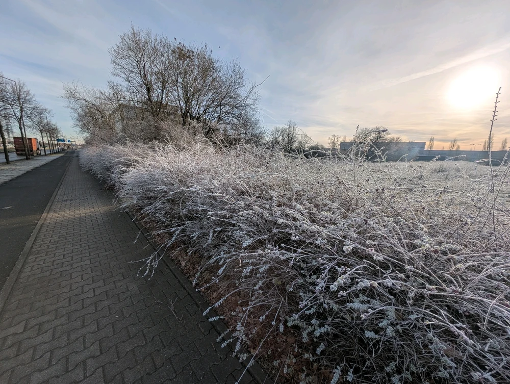 GIF hochgeladen von Alex