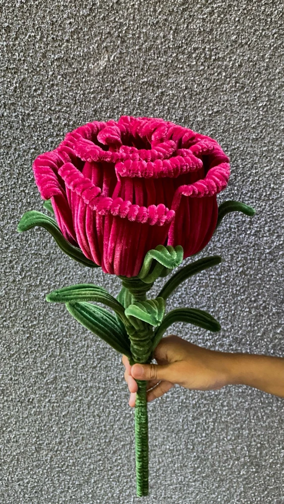 Gambar diunggah oleh Winda Apriyani