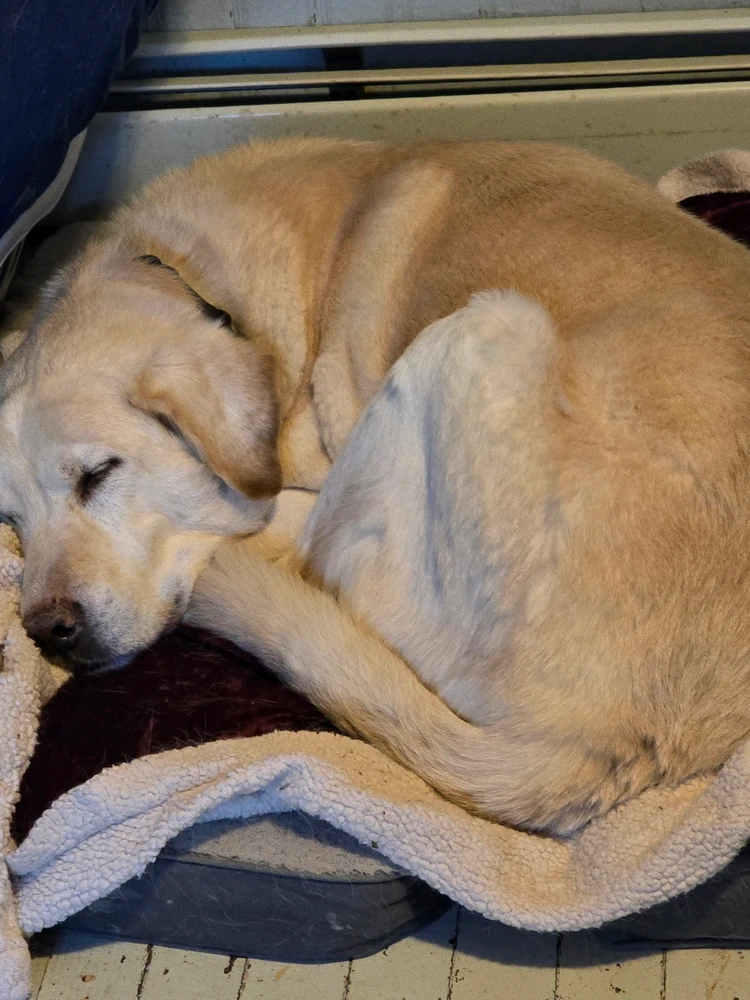 GIF uploaded by Martha