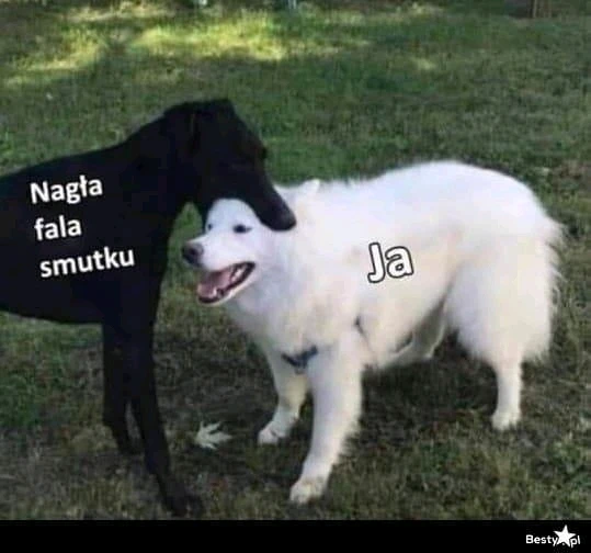 GIF dodany przez Małgorzata