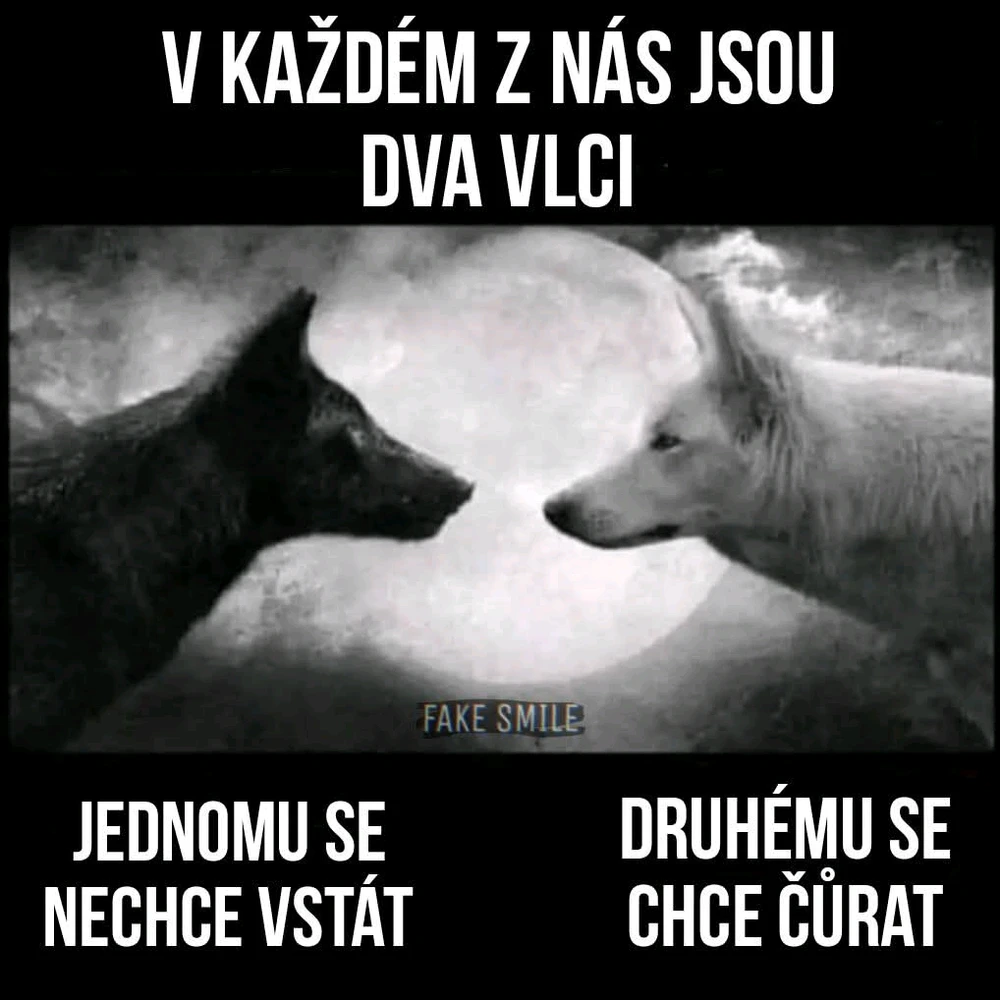 GIF nahrál Tomáš (Chlupčis)