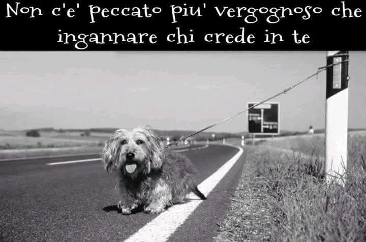 GIF caricata da LunaStorta