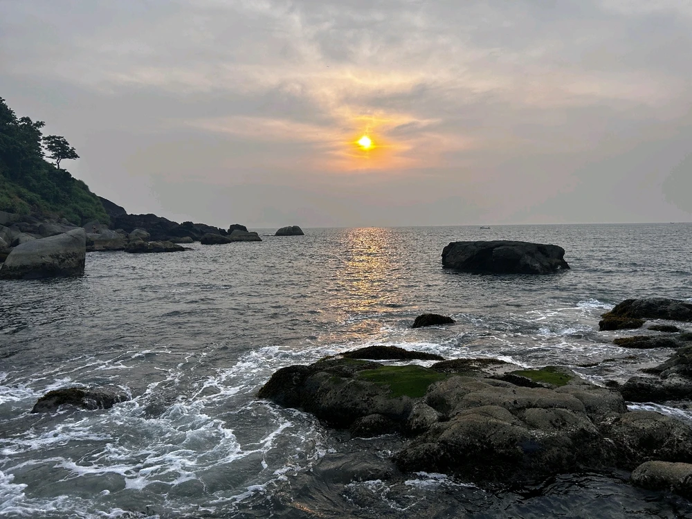 Image uploaded by Anu