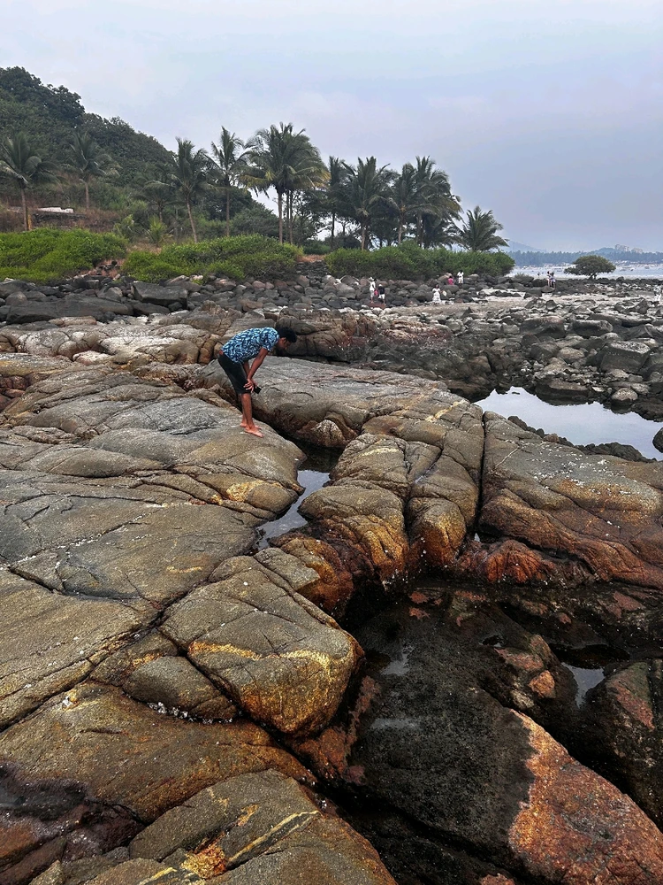 Image uploaded by Anu