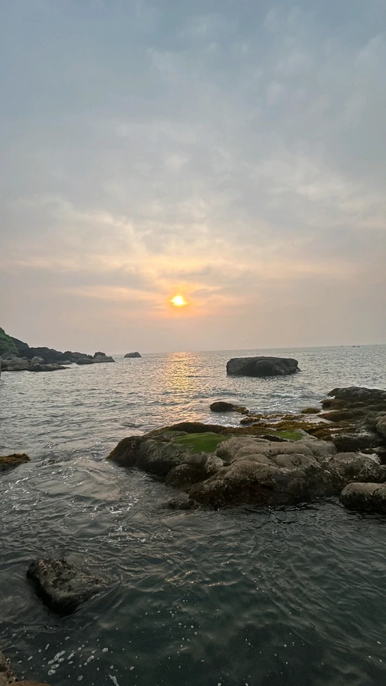 Image uploaded by Anu