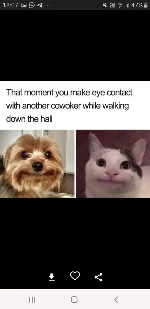 GIF hochgeladen von Alexandru