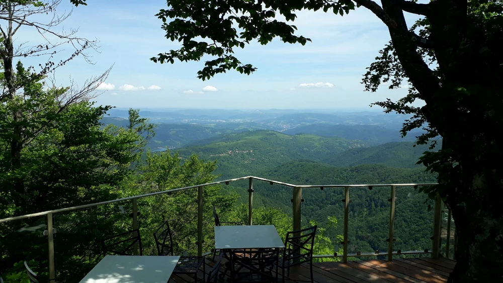 GIF uploaded by Preslav