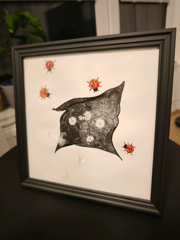 Obrázek nahrál 🧿